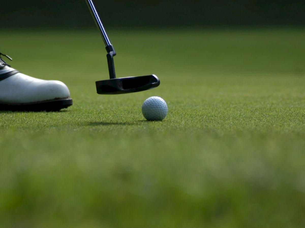 A golf player is about to putt the ball on the green, with a close-up view of the putter and the golf ball in focus.